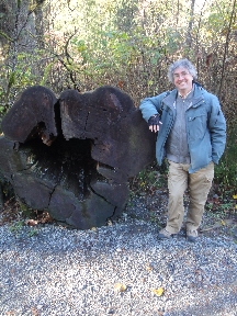 Mead leaning on a large fallen tree